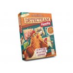 detecteam-pie-fr2.jpg