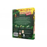 fr-detecteam-race-box-back.jpg