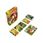 fr-detecteam-race-boxcards.jpg