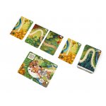 fr-detecteam-race-cards-2.jpg