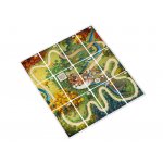 fr-detecteam-race-cards.jpg